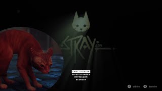 Stray // Wo sind meine Freunde :(