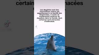 Top 5 des choses a savoir sur le daupin 🐬.. suite sur la chaine YT #dauphin #animal #2023 #news