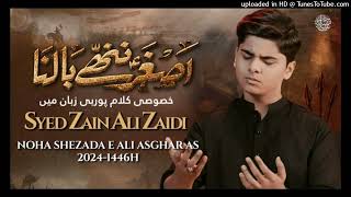 Asghar_Nanne_Balna___Syed_Zain_Ali_Zaidi___Mola_Ali_Asghar_Noha_2024___असग़र_नन्हें_बालना_mp3