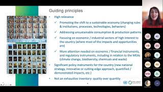 EN language - Guidelines on official reporting for SDG 12.1 and indicator 12.1.1  (2021-2022)