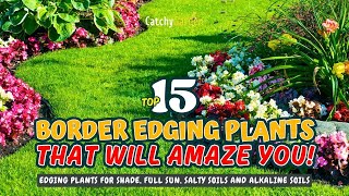 TOP 15 BORDER EDGING PLANTS THAT WILL AMAZE YOU! 🌺🥇🌼 // Gardening Ideas