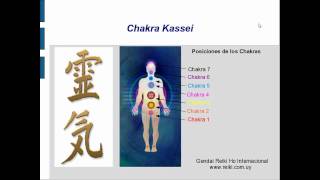 REIKI ONLINE CLASE 3 3_6.wmv