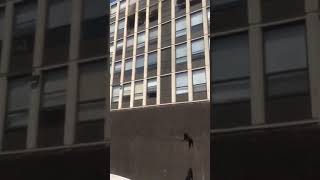 Cat jumped from burning building