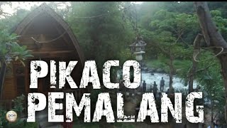 Pikaco Pemalang - Tidak ada kopi hari ini.