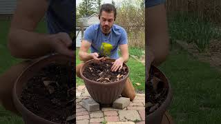 Soil Exploration - Get Kids Planting with Farmer Yoyo