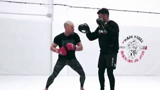 MMA striking pad drills