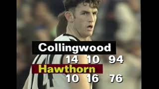 1993 AFL Round 8 Highlights