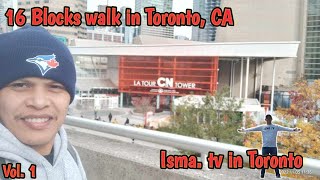 16 Blocks walkaton in Toronto/ Toronto Blag walk Part 1