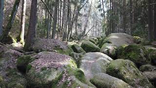 Wanderung zum Doost | Floß | Diepoldsreuth |