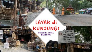 BELI BURUNG PELIHARAAN DI REST AREA plus PASAR BURUNG NGAWI Taman Gubernur SOERJO