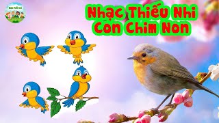 Con chim non 🐦 Chim vành khuyên 🐦 Nhạc thiếu nhi giúp bé thông minh 🐦 Nhạc thiếu nhi cho trẻ mầm non