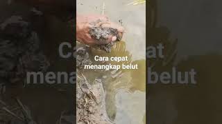 cara cepat menangkap belut #belut #mancing #macingbelut #ngurekbelut #mancingmania #belutindonesia