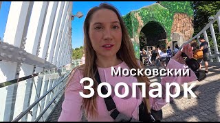 Московский зоопарк. Панда Катюша кушает бамбук