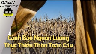 Cảnh báo nguồn lương thực thiếu thốn toàn cầu