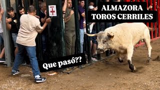 QUE PASO?? ALMAZORA 12 .10.24 TOROS CERRILES DE CORTIJO DE LA SIERRA, VALDEFRESNO, SERGIO CENTELLES