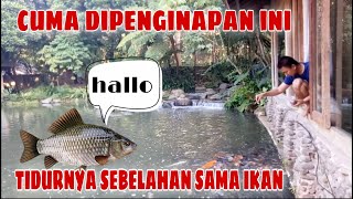 IMAH SENIMAN HOTEL BANDUNG || KASIH MAKAN IKAN LEWAT JENDELA KAMAR