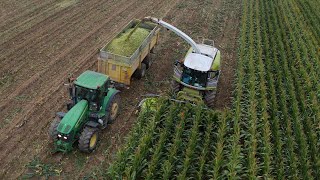 Sklizeň silážní kukuřice, Agropodnik Košetice | Rok zemědělce