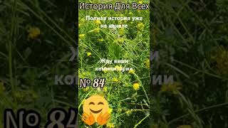 Або ви впускаєте мене в свій будинок на березі моря, або купуєте мені путівку на відпочинок #истории