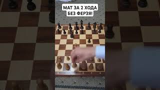 ЛУЧШАЯ ЛОВУШКА! МАТ ЗА 2 хода без ферзя! #chess #шахматы #шахматыдляначинающих #shorts