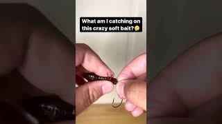 Will this Crazy Japanese fishing lure catch fish?