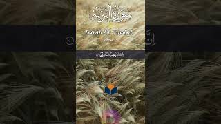 Surah Touba Ayat 7  with urdu translation #islam #quran  #shorts #surahtaubah #trending #quranurdu