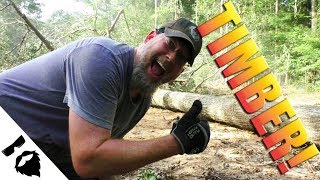 Time Lapse Land Clearing! Knocking Down the BIG TREES on our property.🌳