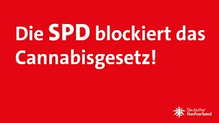 Die SPD blockiert das Cannabisgesetz