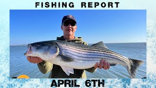 New Jersey Fishing Report April 6th (The DELAWARE is heating UP🔥(WINNER) #surffishing #stripedbass