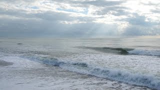 Nature Sounds Ocean Waves for Relaxation,  Meditation Music on Seagulls Beach Part II