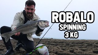 Um pouco de adernalina - Robalo 3kg spinning 🔥 Pesca Portugal