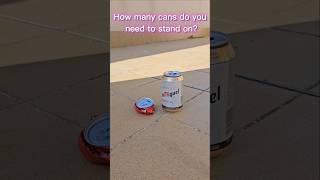 How many cans do you need to stand on? #canyoustandonit