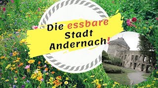 Die essbare Stadt Andernach 🌻🍃 [Kräuter-Quark#4]