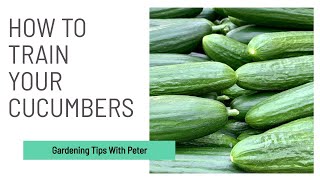 How to Train Your Cucumbers | Garden Ideas | Peter Seabrook