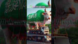 Haram vs Halal animal|Best edit ☑️ for muslims 🕋 in the world 🌎|#shorts #youtubeshorts #harami#viral