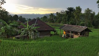 Viral ‼️ Kampung Seperti Dalam Lukisan  Setelah Turun Hujan Di Garut Jawa Barat