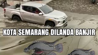 SEMARANG KEBANJIRAN IKAN IKAN DI JALANAN