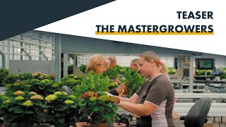 The Mastergrowers | Teaser