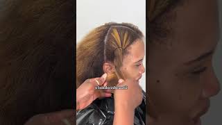 Two Strand Twist- Part 1 : Hair Prep