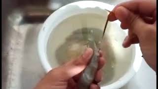 PAANO LINISIN ANG HIPON || HOW TO DEVEIN PRAWN/SHRIMP WITH SHELL