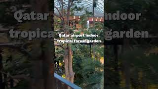 Qatar airport indoor tropical forest garden #islamicvideo #trending #shortvideo #viral #trend