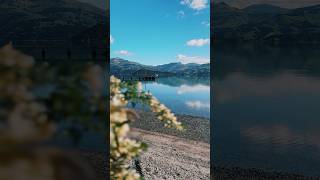 #nature #viral #travel #akaroa Music: Positive Folk Guitar Musician: NyLon