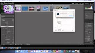 Metadata in Adobe Lightroom - The what, why and how