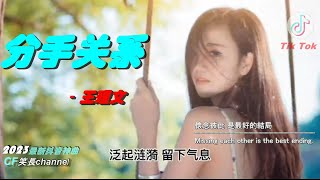 2023年抖音最新神曲 『分手關係』- 王理文 【高音質/動態歌詞/Pinyin Lyrics】🎶