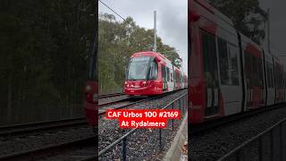 Parramatta Light Rail CAF Urbos 100 Unit 2169 at Rydalmere #shorts #travel