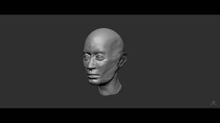 headSculpt timelapse