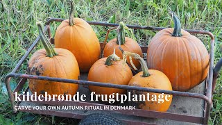 Carve a New Autumn Ritual in Copenhagen at the Pumpkin Patch