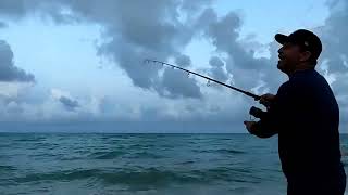 Pesca en la playa de Miami Beach