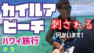 【ハワイ旅行　カイルア】全米ＮＯ，１のカイルアビーチでＳＵＰに挑戦！リバーＳＵＰにもトライしてみた＃９