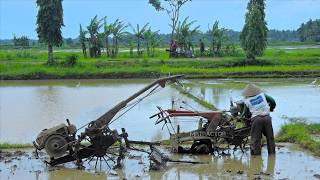 Landscaping Top Soil Of The Rice Field Using Hand Tractor