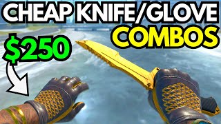 BEST CHEAP CS2 KNIFE & GLOVE COMBOS in 2024 (BUDGET KNIFE + GLOVES COMBO Under 350$)